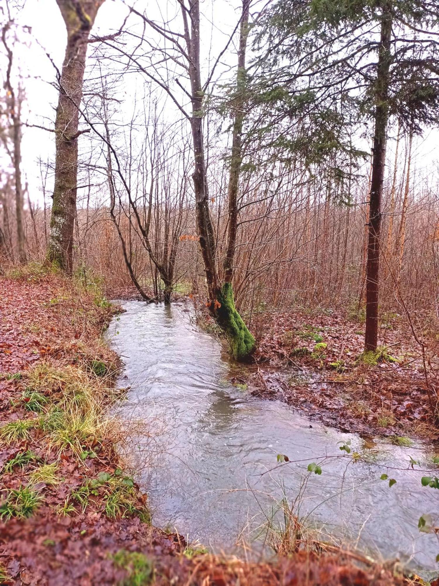 Le Clos Fleuri Sautin